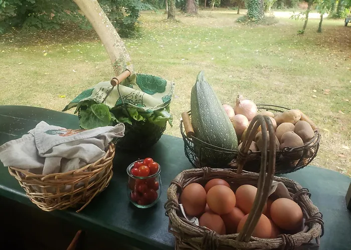 Chambres d'hôtes et gîte d'étape Avel Glaz